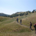 reaching the top of the hill